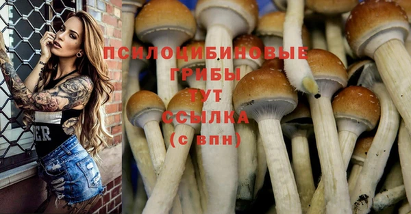 бутират Абаза