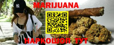 гашик Лесосибирск